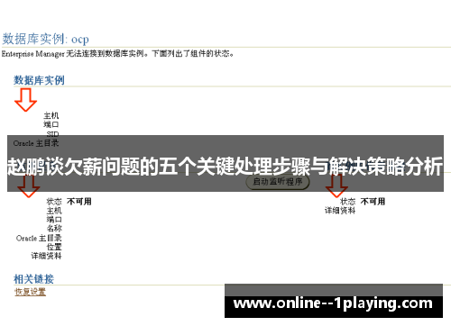 赵鹏谈欠薪问题的五个关键处理步骤与解决策略分析